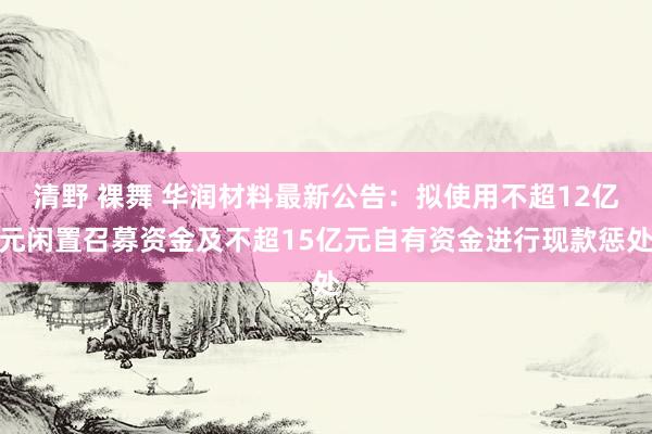 清野 裸舞 华润材料最新公告：拟使用不超12亿元闲置召募资金及不超15亿元自有资金进行现款惩处