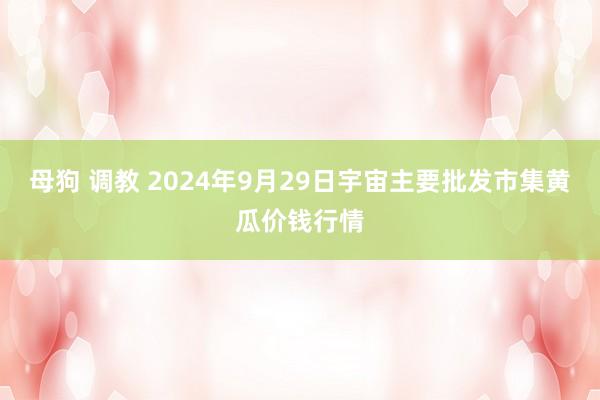 母狗 调教 2024年9月29日宇宙主要批发市集黄瓜价钱行情