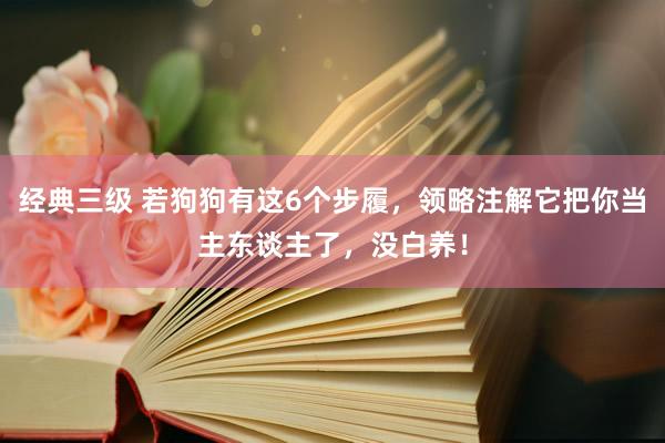 经典三级 若狗狗有这6个步履，领略注解它把你当主东谈主了，没白养！