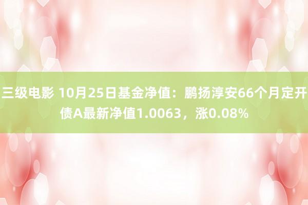 三级电影 10月25日基金净值：鹏扬淳安66个月定开债A最新净值1.0063，涨0.08%