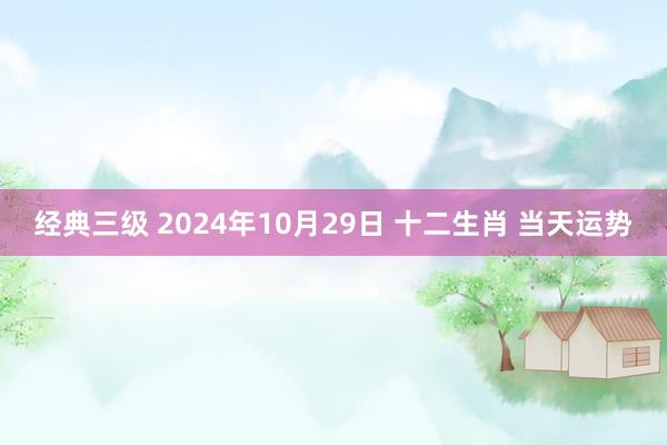 经典三级 2024年10月29日 十二生肖 当天运势