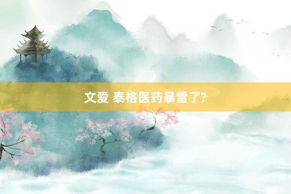 文爱 泰格医药暴雷了?