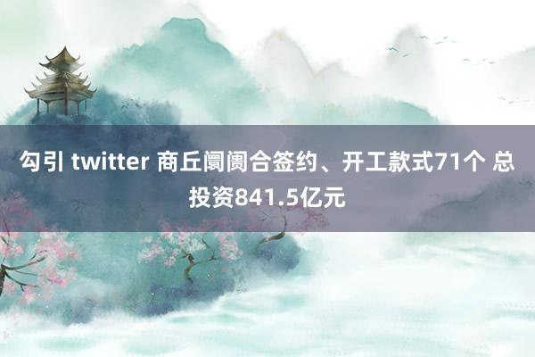 勾引 twitter 商丘阛阓合签约、开工款式71个 总投资841.5亿元