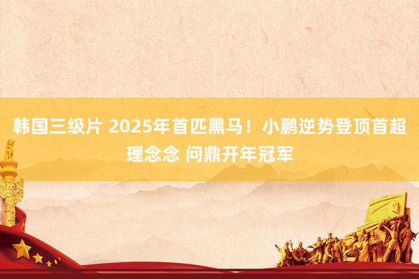 韩国三级片 2025年首匹黑马！小鹏逆势登顶首超理念念 问鼎开年冠军